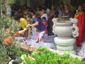 IMG 0563