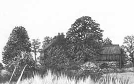drawing trees